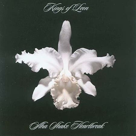 KINGS OF LEON – AHA SHAKE HEARTBREAK