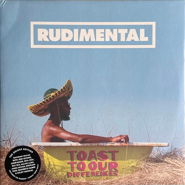 RUDIMENTAL – RUDIMENTAL – TOAST TO OUR DIFFERENCES (140 GR 12")