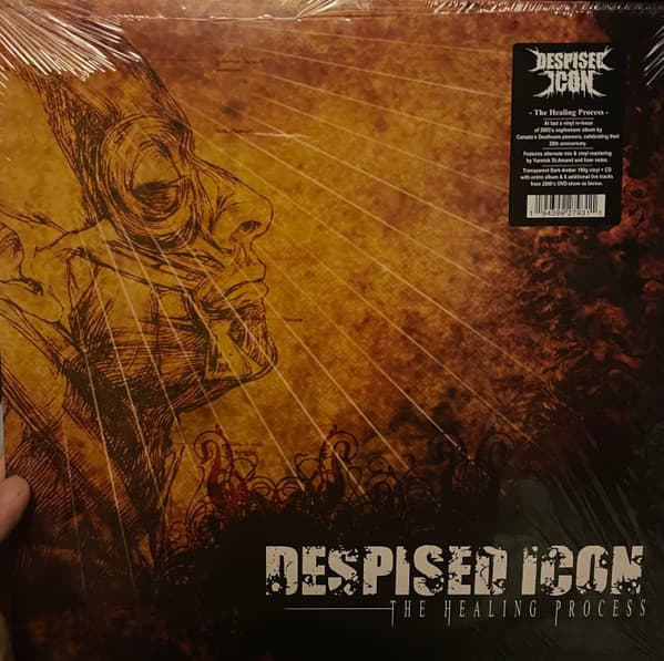DESPISED ICON – HEALING PROCESS