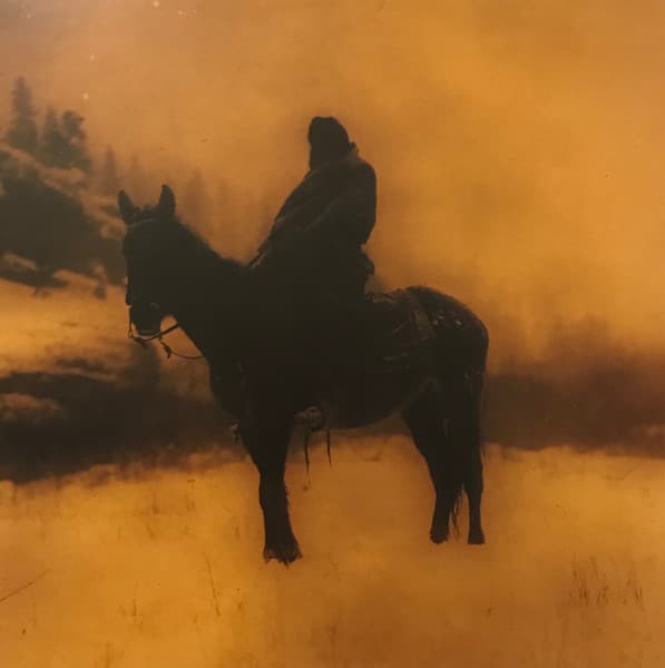 WAYFARER – WORLD'S BLOOD