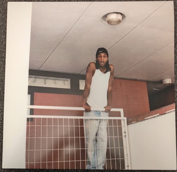 BAKAR – HALO