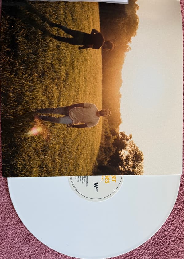 DAN + SHAY – DAN + SHAY – BIGGER HOUSES (140 GR 12")