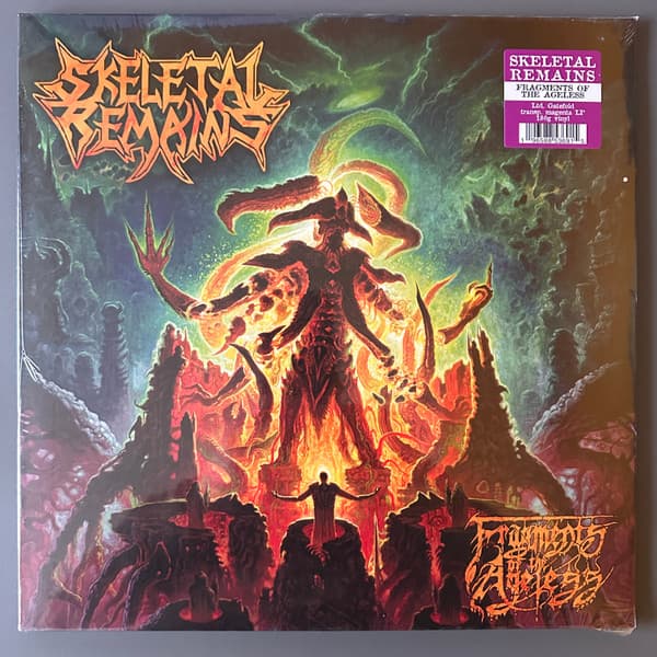 SKELETAL REMAINS – SKELETAL REMAINS – FRAGMENTS OF THE AGELESS