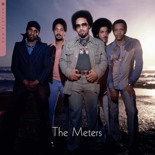 METERS,THE – METERS,THE – NOW PLAYING (140 GR 12" COLOURED-LTD.)
