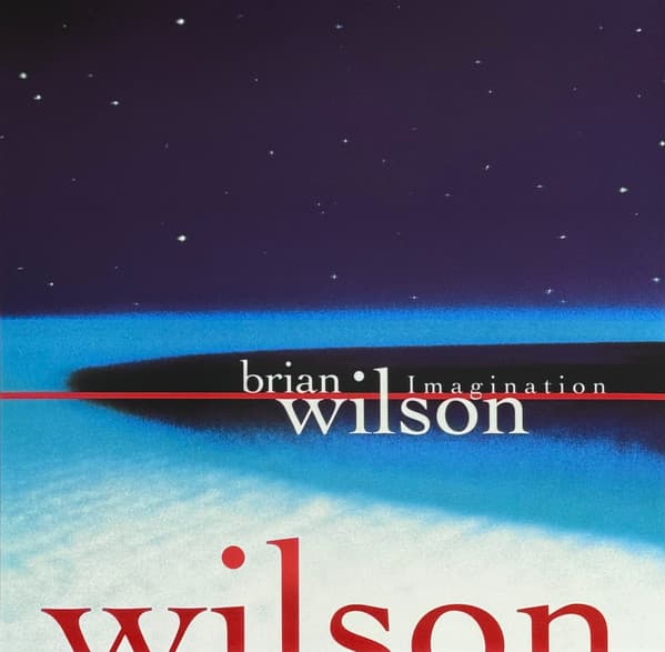 WILSON,BRIAN – WILSON,BRIAN – IMAGINATION (140 GR 12" -LTD.)