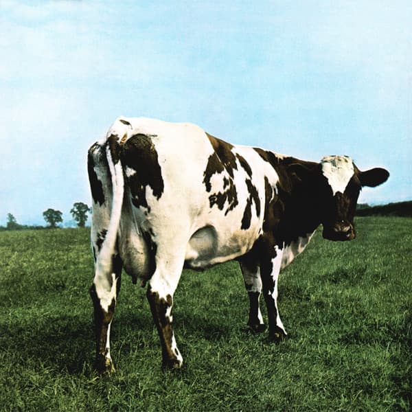 PINK FLOYD – PINK FLOYD – ATOM HEART MOTHER