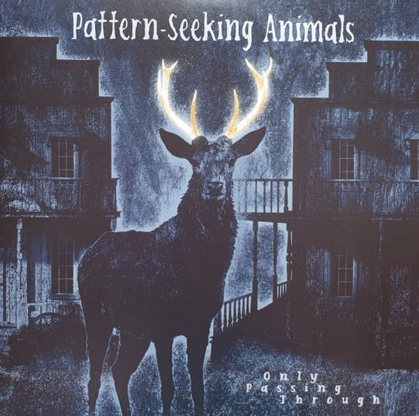 PATTERN-SEEKING ANIMALS – ONLY PASSING THROUGH